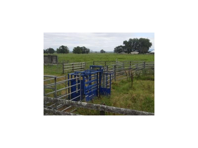 Bellimbopinni NSW 2440