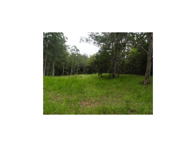 Hickeys Creek NSW 2440