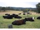 Mungay Creek NSW 2440