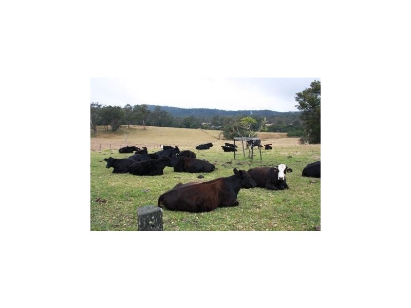Mungay Creek NSW 2440
