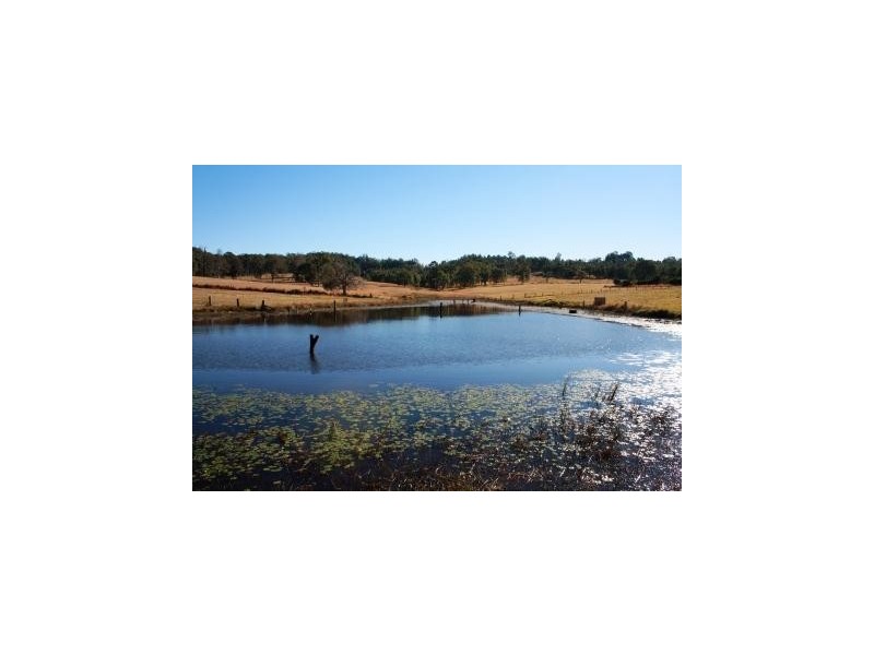Mungay Creek NSW 2440