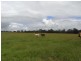 Rawdon Island NSW 2446