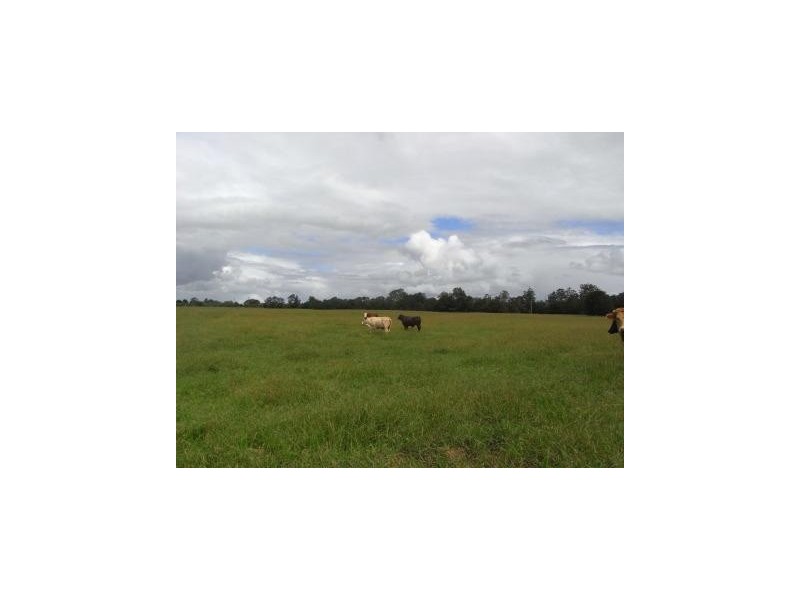 Rawdon Island NSW 2446