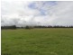 Rawdon Island NSW 2446