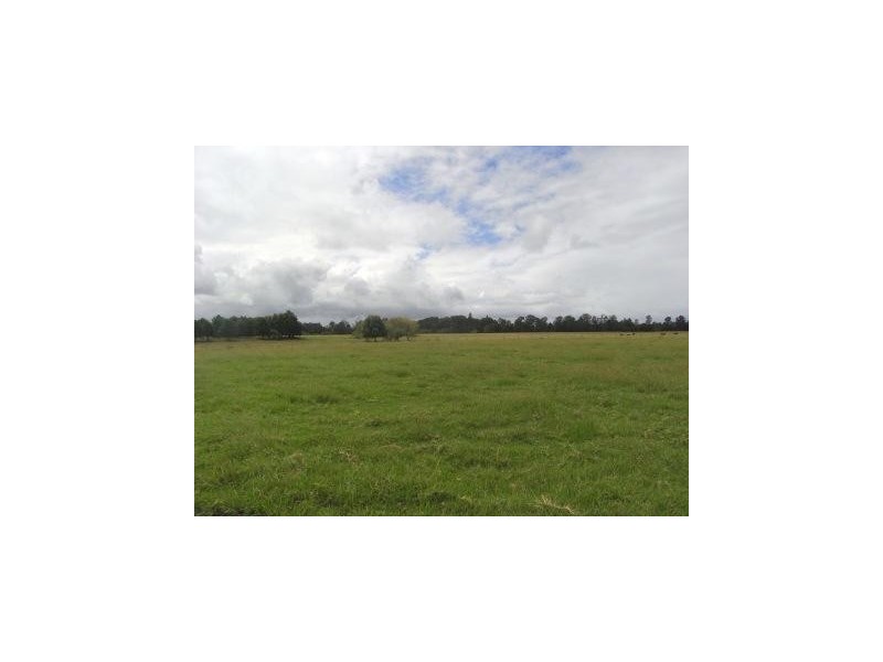 Rawdon Island NSW 2446