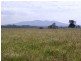 . McCarthys Lane, Clybucca NSW 2440