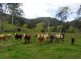 Comara NSW 2440