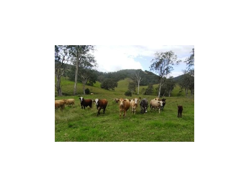 Comara NSW 2440
