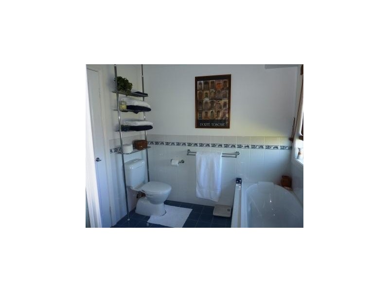 236 South West Rocks Road, Pola Creek NSW 2440