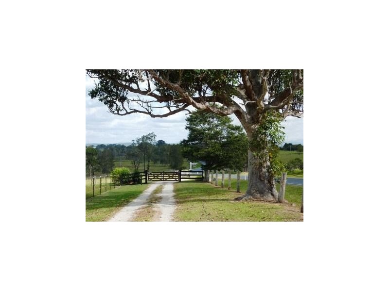 236 South West Rocks Road, Pola Creek NSW 2440