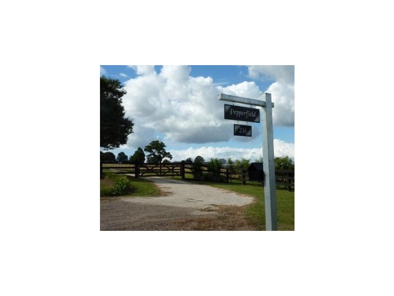 236 South West Rocks Road, Pola Creek NSW 2440