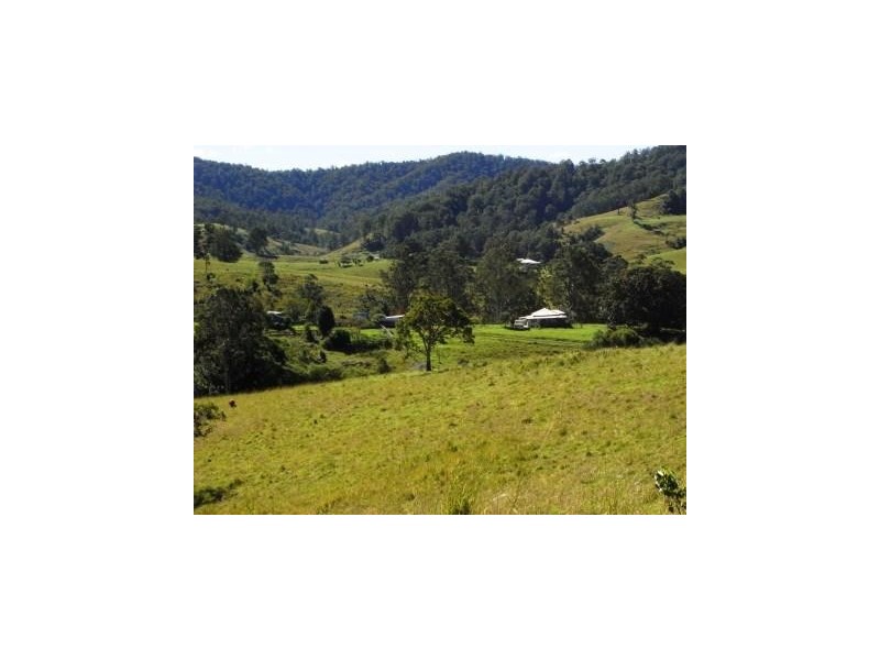 Hickeys Creek NSW 2440