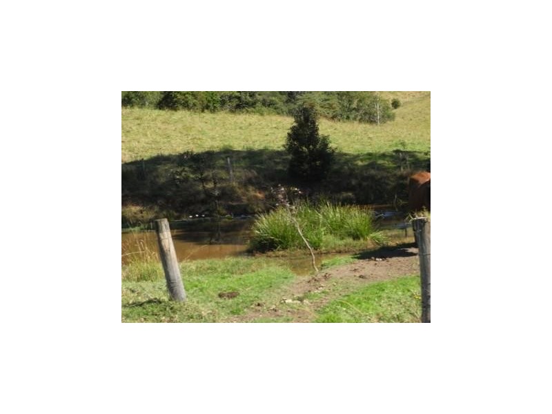 Hickeys Creek NSW 2440