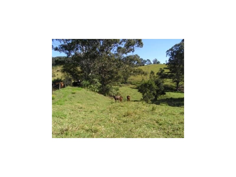 Hickeys Creek NSW 2440