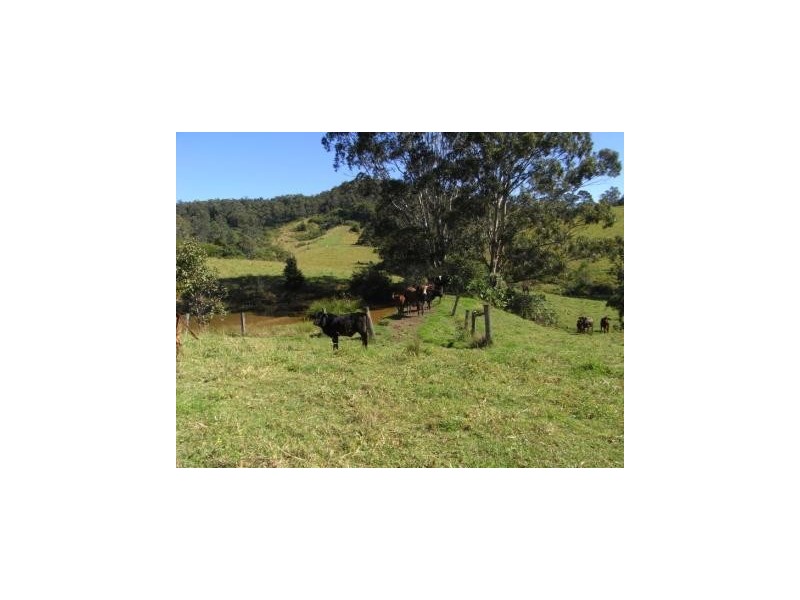 Hickeys Creek NSW 2440