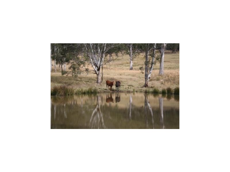 Moparrabah NSW 2440