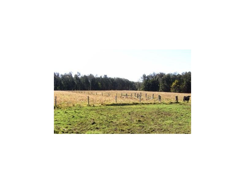 Frederickton NSW 2440