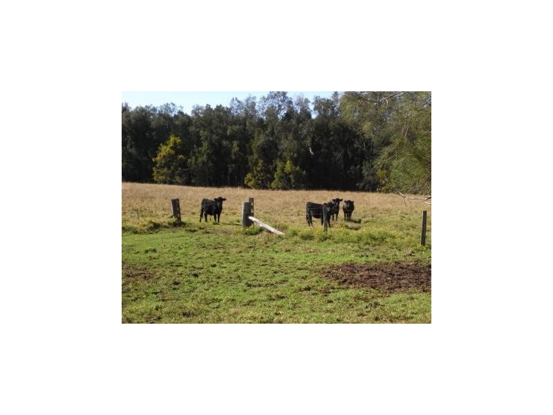 Frederickton NSW 2440