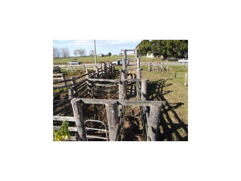 Bellimbopinni NSW 2440