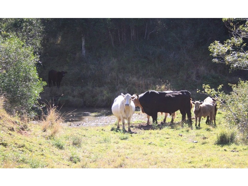 Dondingalong NSW 2440