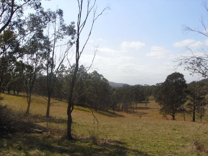 Hickeys Creek NSW 2440