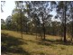 Hickeys Creek NSW 2440