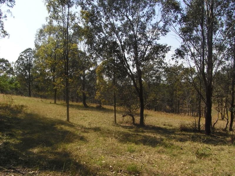 Hickeys Creek NSW 2440