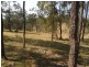 Hickeys Creek NSW 2440