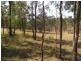 Hickeys Creek NSW 2440