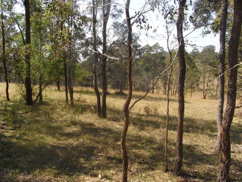 Hickeys Creek NSW 2440