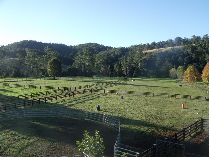 Rollands Plains NSW 2441