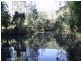 Rollands Plains NSW 2441