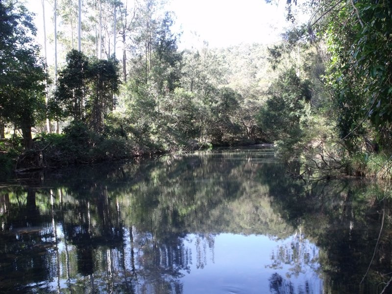 Rollands Plains NSW 2441