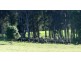 Rollands Plains NSW 2441