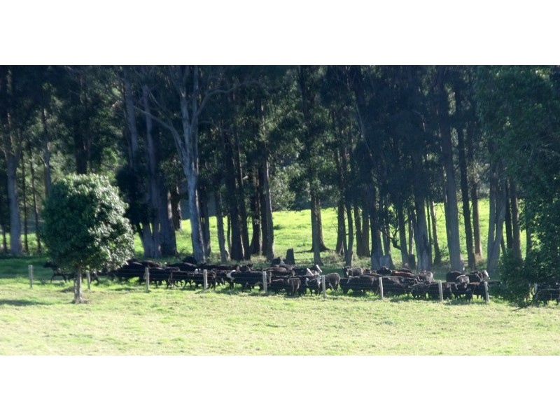 Rollands Plains NSW 2441