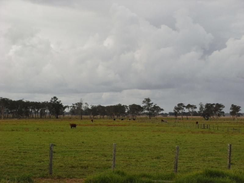 Belmore River NSW 2440