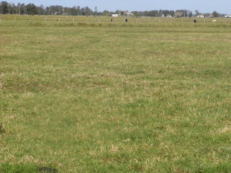 Clybucca NSW 2440