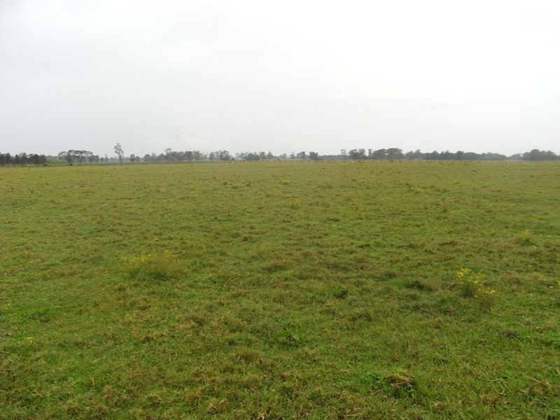 . Vacant Land, Gladstone NSW 2440