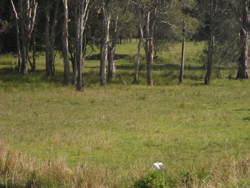 Clybucca NSW 2440
