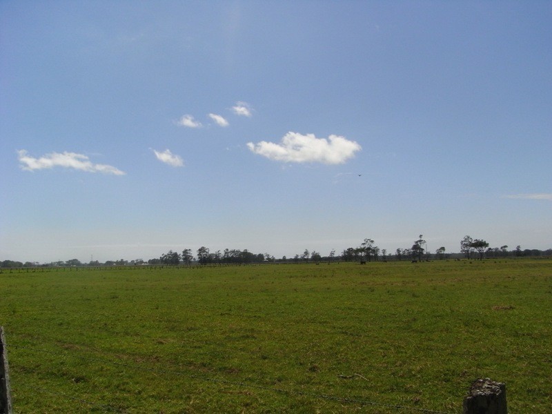 119 Right Bank Road, Kinchela NSW 2440