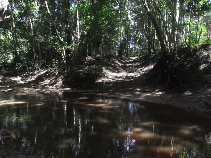 Collombatti NSW 2440