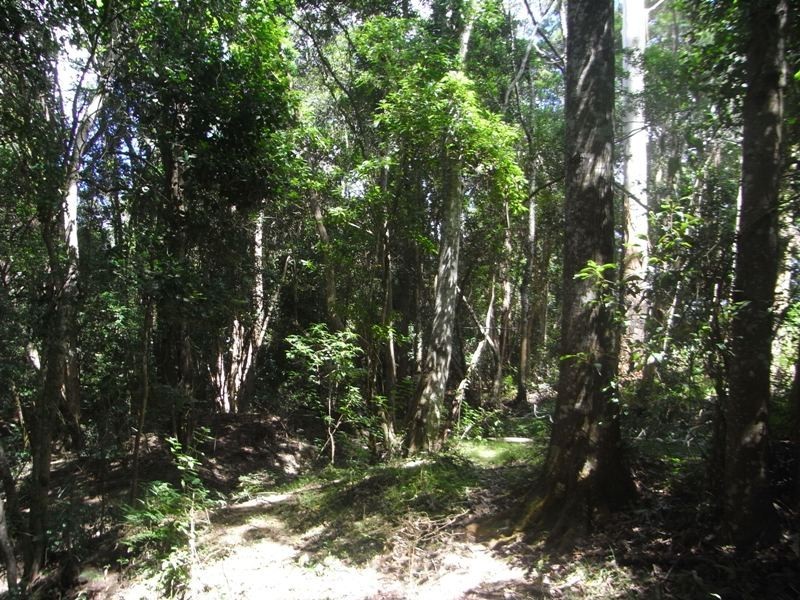 Collombatti NSW 2440