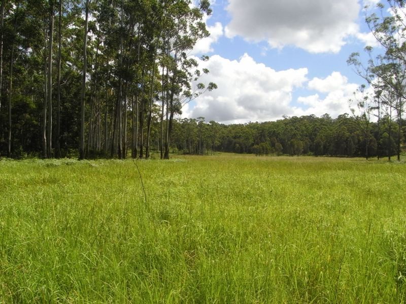 Collombatti NSW 2440