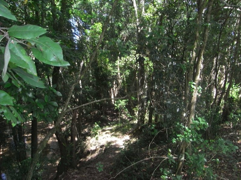 Collombatti NSW 2440