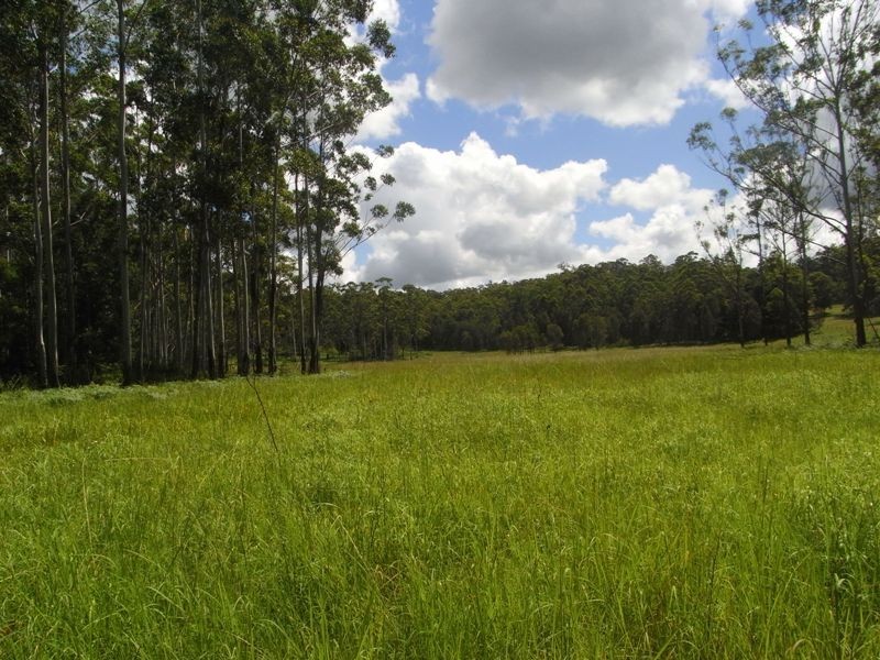 Collombatti NSW 2440