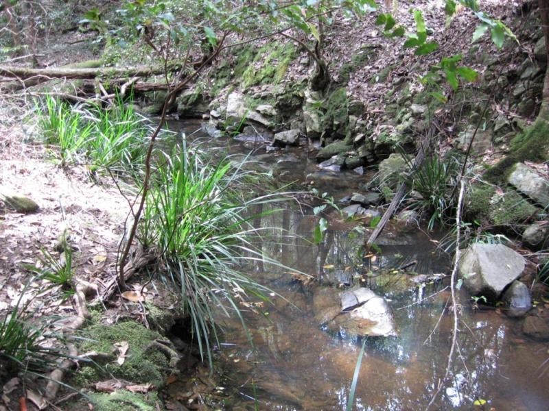 Collombatti NSW 2440