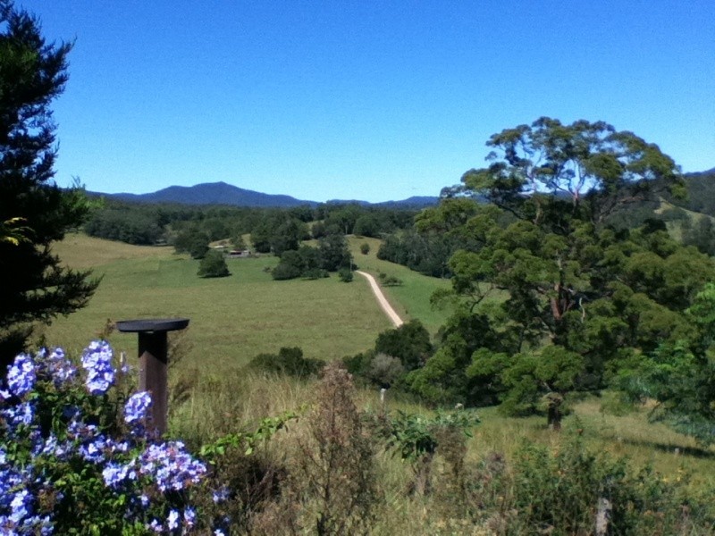 180 Bakers Creek Road, Taylors Arm NSW 2447