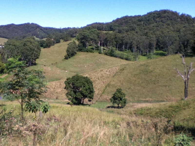 180 Bakers Creek Road, Taylors Arm NSW 2447