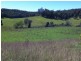 180 Bakers Creek Road, Taylors Arm NSW 2447