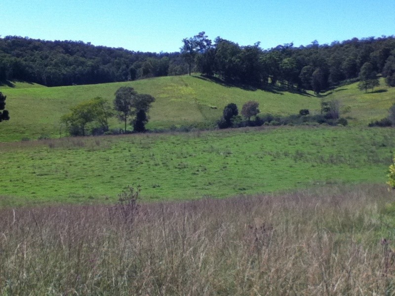 180 Bakers Creek Road, Taylors Arm NSW 2447